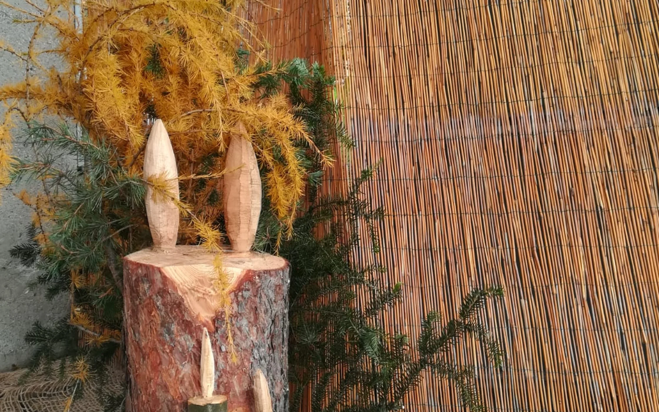 Advent am Bauernhof_Haflingerhof_2019 2.jpeg